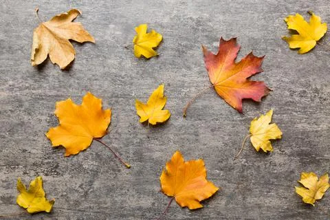 Autumn composition. Pattern made of dried leaves and other design accessories Foto stock