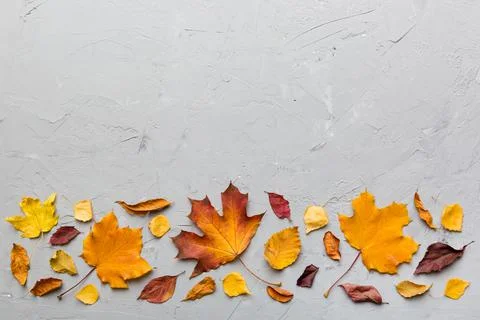 Autumn composition. Pattern made of dried leaves and other design accessories Foto stock