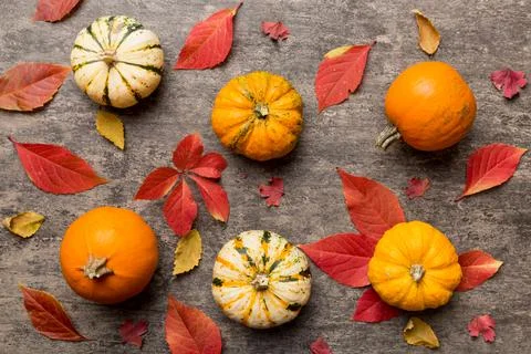 Autumn composition. Pattern made of dried leaves and other design accessories Stock Photos