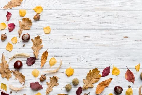 Autumn composition. Pattern made of dried leaves and other design accessori.. 写真素材
