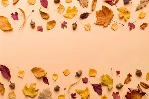 Autumn composition. Pattern made of dried leaves and other design accessori.. Foto stock