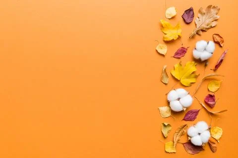 Autumn composition. Pattern made of dried leaves and other design accessori.. Foto stock