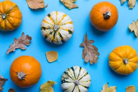 Autumn composition. Pattern made of dried leaves and other design accessori.. Stock Photos