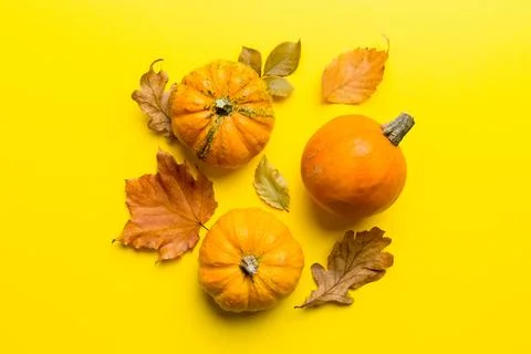 Autumn composition. Pattern made of dried leaves and other design accessori.. Stock Photos