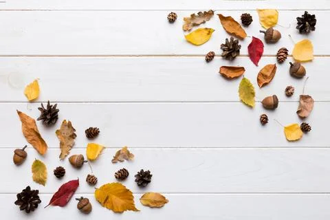 Autumn composition. Pattern made of dried leaves and other design accessori.. Foto stock