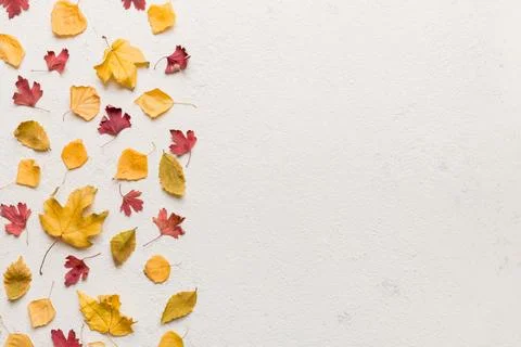 Autumn composition. Pattern made of dried leaves and other design accessori.. Foto stock
