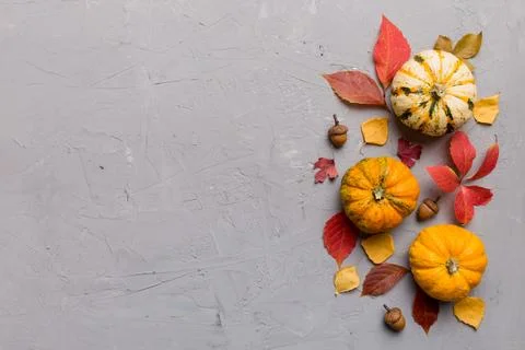 Autumn composition. Pattern made of dried leaves and other design accessori.. Stock Photos