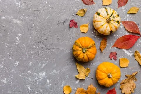 Autumn composition. Pattern made of dried leaves and other design accessori.. 写真素材