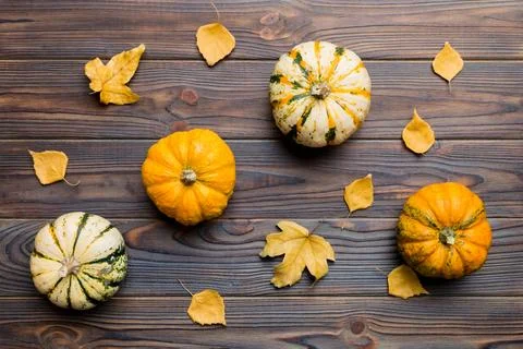 Autumn composition. Pattern made of dried leaves and other design accessori.. Foto stock