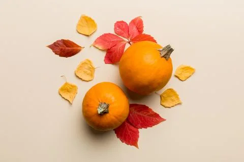 Autumn composition. Pattern made of dried leaves and other design accessori.. Foto stock