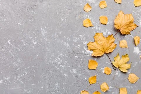 Autumn composition. Pattern made of dried leaves and other design accessories 写真素材