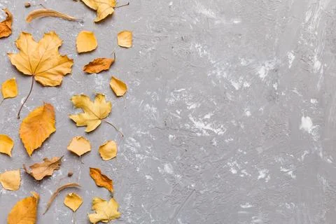 Autumn composition. Pattern made of dried leaves and other design accessories Foto stock