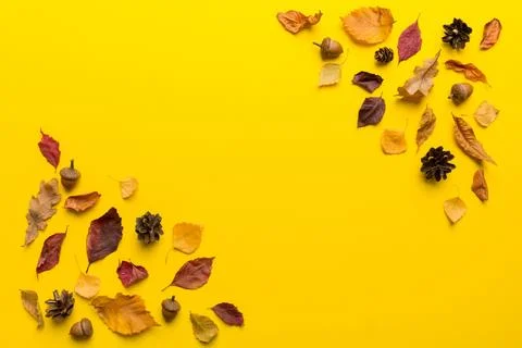 Autumn composition. Pattern made of dried leaves and other design accessori.. Foto stock