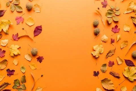 Autumn composition. Pattern made of dried leaves and other design accessori.. Foto stock