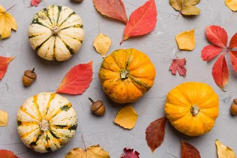 Autumn composition. Pattern made of dried leaves and other design accessori.. Stock Photos