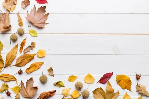 Autumn composition. Pattern made of dried leaves and other design accessori.. Foto stock