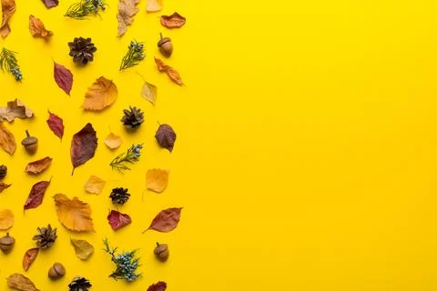 Autumn composition. Pattern made of dried leaves and other design accessori.. Foto stock