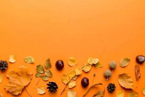 Autumn composition. Pattern made of dried leaves and other design accessori.. Foto stock