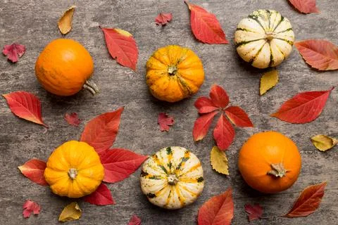 Autumn composition. Pattern made of dried leaves and other design accessori.. 写真素材
