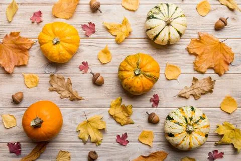 Autumn composition. Pattern made of dried leaves and other design accessori.. Foto stock