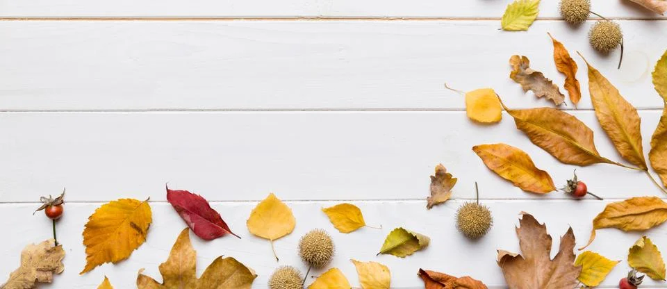 Autumn composition. Pattern made of dried leaves and other design accessories Stock Photos