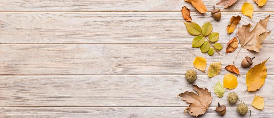 Autumn composition. Pattern made of dried leaves and other design accessories Stock Photos