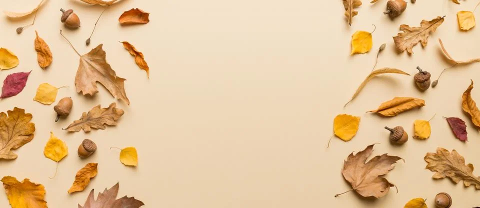 Autumn composition. Pattern made of dried leaves and other design accessories Foto stock