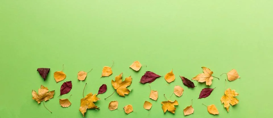 Autumn composition. Pattern made of dried leaves and other design accessories Stock Photos