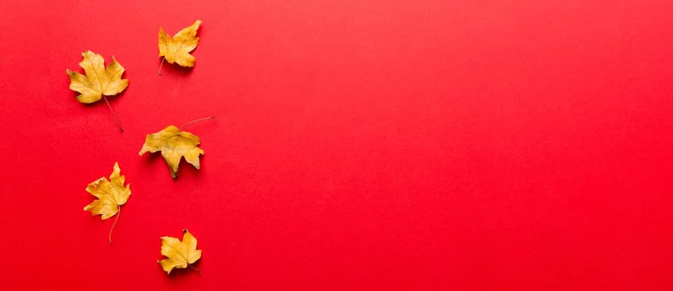 Autumn composition. Pattern made of dried leaves and other design accessories Stock Photos
