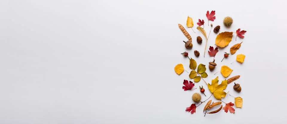 Autumn composition. Pattern made of dried leaves and other design accessories Stock Photos