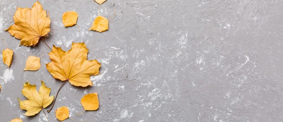 Autumn composition. Pattern made of dried leaves and other design accessori.. Stock Photos