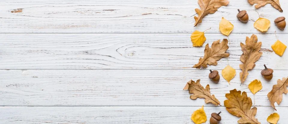 Autumn composition. Pattern made of dried leaves and other design accessories Stock Photos