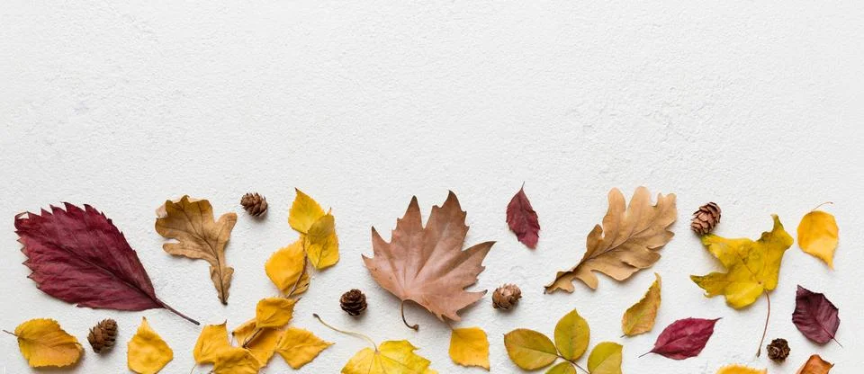 Autumn composition. Pattern made of dried leaves and other design accessories Stock Photos