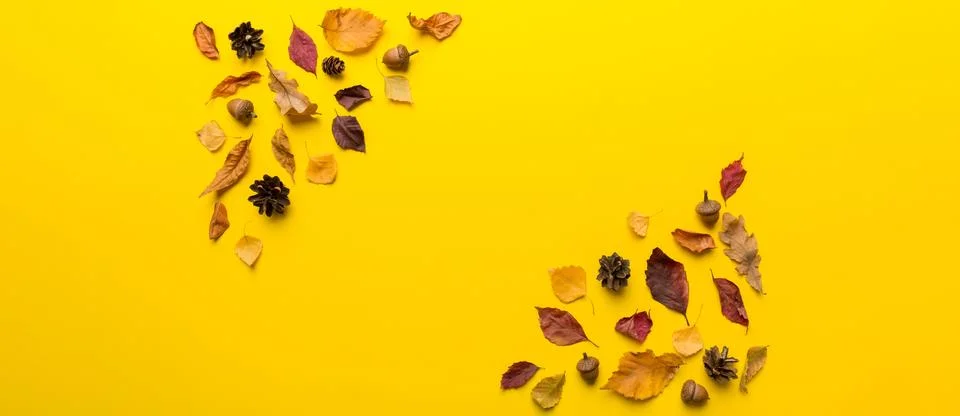 Autumn composition. Pattern made of dried leaves and other design accessories Stock Photos