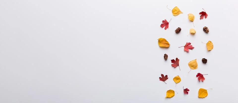 Autumn composition. Pattern made of dried leaves and other design accessories Stock Photos