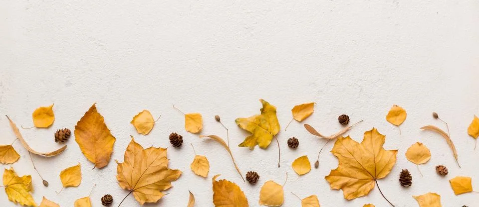 Autumn composition. Pattern made of dried leaves and other design accessories Stock Photos
