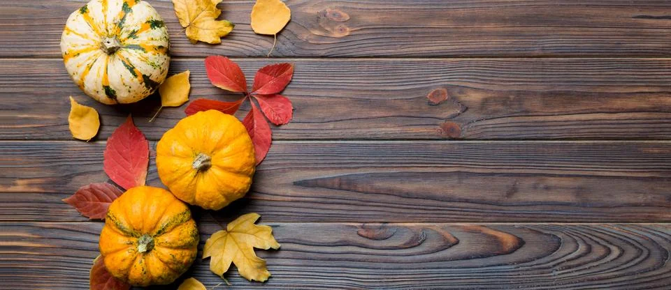 Autumn composition. Pattern made of dried leaves and other design accessories Stock Photos