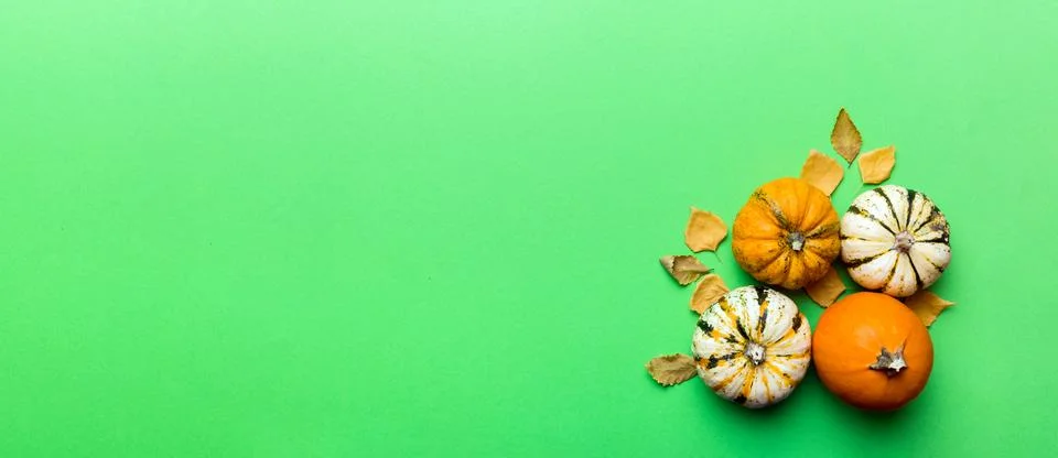 Autumn composition. Pattern made of dried leaves and other design accessories Stock Photos