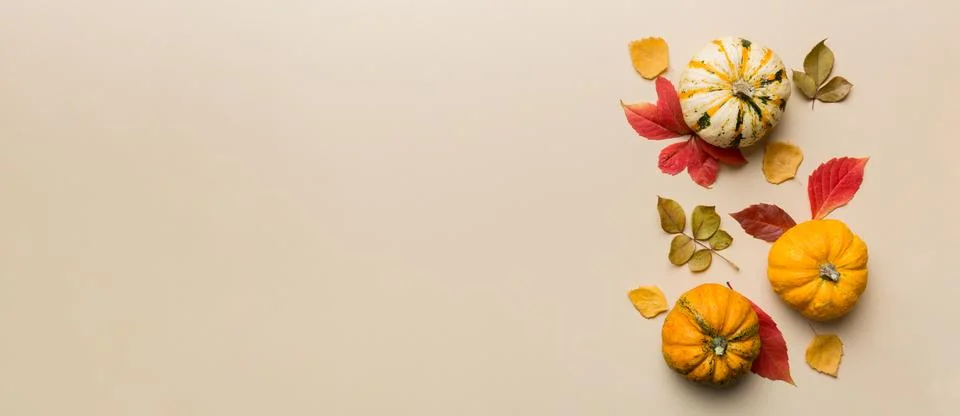 Autumn composition. Pattern made of dried leaves and other design accessories Stock Photos