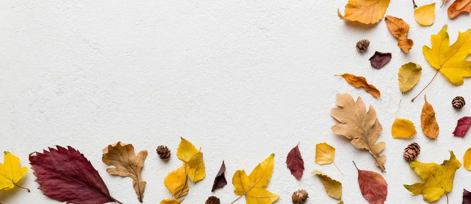Autumn composition. Pattern made of dried leaves and other design accessories Stock Photos