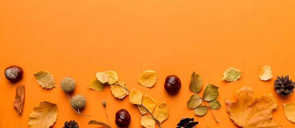 Autumn composition. Pattern made of dried leaves and other design accessories Stock Photos
