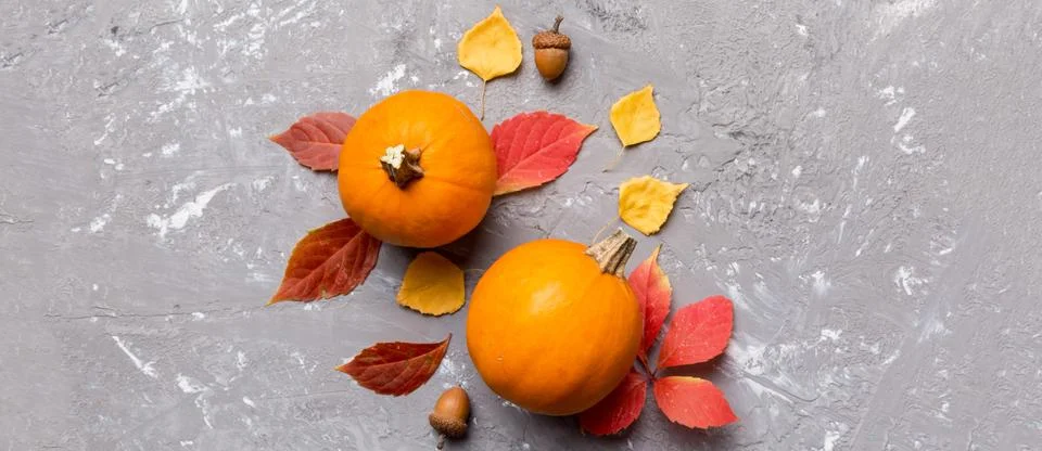 Autumn composition. Pattern made of dried leaves and other design accessories Stock Photos