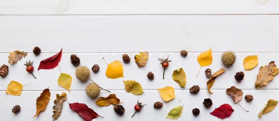 Autumn composition. Pattern made of dried leaves and other design accessori.. Foto stock
