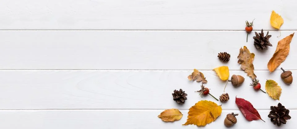 Autumn composition. Pattern made of dried leaves and other design accessories Stock Photos