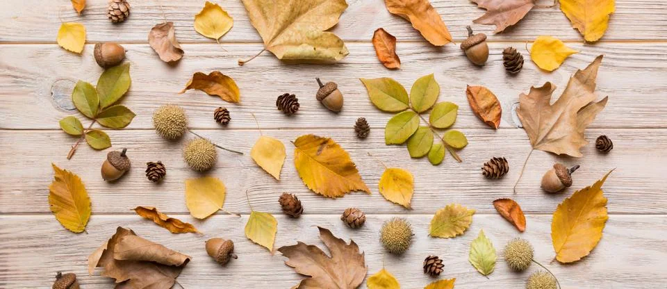 Autumn composition. Pattern made of dried leaves and other design accessori.. 写真素材