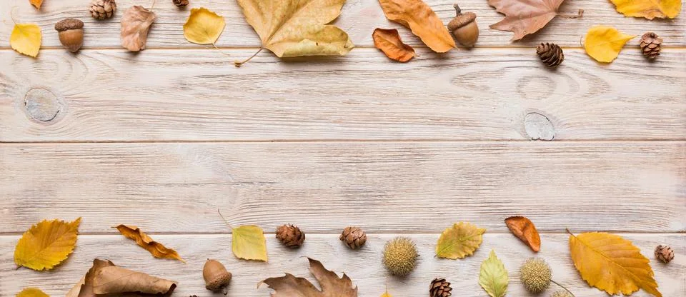 Autumn composition. Pattern made of dried leaves and other design accessories Stock Photos
