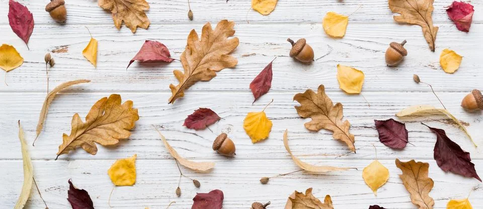 Autumn composition. Pattern made of dried leaves and other design accessories Stock Photos