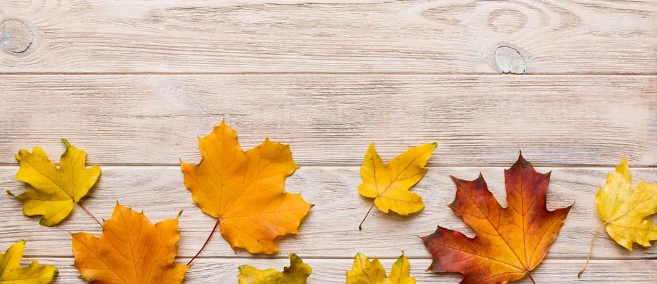Autumn composition. Pattern made of dried leaves and other design accessori.. Foto stock