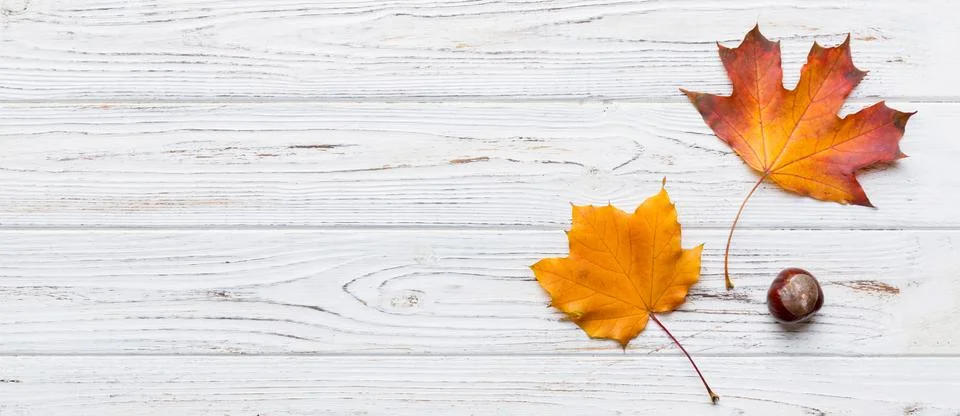 Autumn composition. Pattern made of dried leaves and other design accessories Foto stock