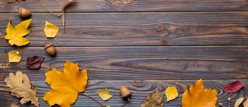 Autumn composition. Pattern made of dried leaves and other design accessories Stock Photos
